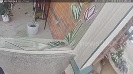 Furry Intruder Surprises Iowa Officers During Burglary Call