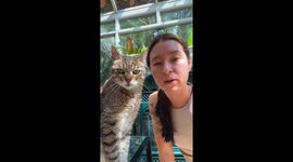 Woman proves that cats do not directly touch their back passage onto surfaces that they sit on