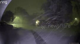 Tree Breaks During Storm in Kalamazoo