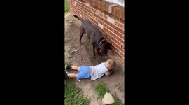 Why We Can’t Have Nice Landscaping
