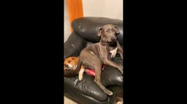 Chair for Two?