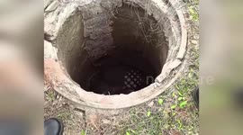 China: Cow Trapped Overnight In Utility Well Rescued By Firefighters In Ji’an
