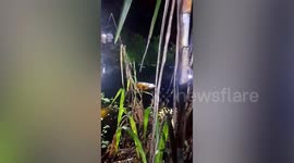 Boy, 17, mauled to death by crocodile while fishing in Indonesia