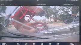 Frightened horse bolts into road and shatters windshield of moving car