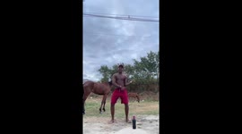 Man startled by horse while dancing in Serra, Espírito Santo, Brazil