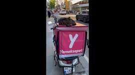 Catnap Goals! Adorable Istanbul Street Cat Snoozes on a Food Delivery Scooter, Unbothered by City Chaos