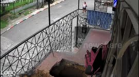 Dog falls into shallow hole during home construction in Cali, Colombia