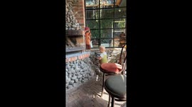Baby caught acting mischievous near statue in Dundalk, Ireland