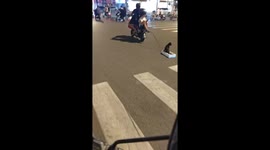 Cat rides styrofoam pulled by motorcycle in Hebei, China
