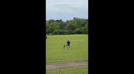 Man slips while being chased by deer in Hunan, China