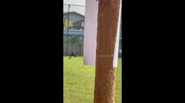 Child runs wrong way during sports day in Kepala Batas, Penang, Malaysia