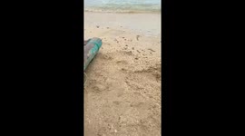 Sleepy baby has Moana-themed photoshoot on a beach