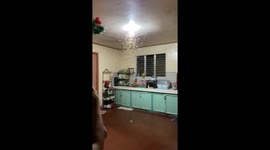 Youngsters terrified by thousands of flying termites in their kitchen