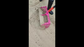 Beach Cleanup Finds Piles of Coins