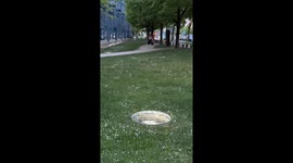 Cute Dog Reunites With Mommy