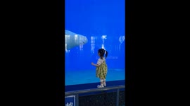Playful beluga whale scares toddler at aquarium in China