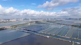 China: Crab farmers embrace peak harvest season in S China