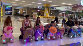 Grown-ups have hilarious race on flashing electric animals