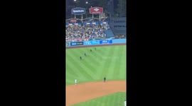 US: Shirtless Fan Storms Field at Dodger Stadium During Mets Game