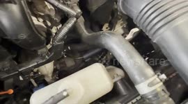 Kittens rescued from car engine after mother cat gives birth inside machinery