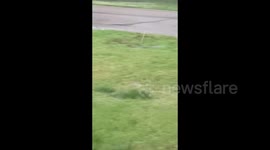 US: Heavy rainfall causes flooding in El Dorado