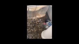 Month of March goes extra harsh on woman trying her best to stay positive