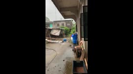 Mother hen uses her wing to protect chick from the rain