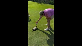 Snapping turtle attacks drink can during golf round in Washington DC, USA