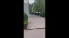 Woman falls forward in funny bicycle mishap in Shandong, China