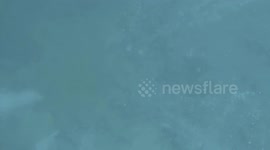 Gas Bubbles Escape From Underwater Cracks