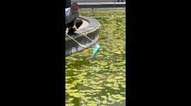 Passerby saves drowning bird from pond in China