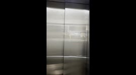 Door Slit Camera Obscura In Elevator