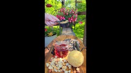 Chirp-Cuterie Board Delights Various Birds