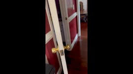 Fat Cat Leaves Bathroom Cabinet