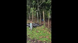 Toddler Meets a Woodpecker