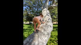 US dad filming son at park captures man dumping unconscious woman from car - then calmly calls police