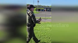 US: Baby Goose Rescued After Shocking Wildlife Incident On Erie Boulevard In Syracuse