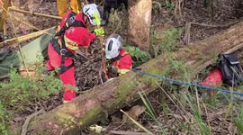 Australia: Labrador Ted Rescued From Deep Mine Shaft In Dramatic Joint Operation