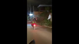 Service dog rides on front of motorcycle with owner