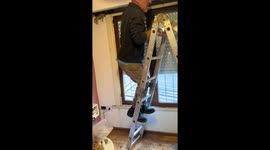 Man pulls dove from ceiling, startles friend in Mar del Plata, Argentina
