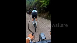 Cyclist keeps cool despite being whacked by airborne snake during race in China