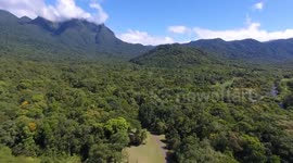Brazil: Brazilian ecological park races to save endangered plant species