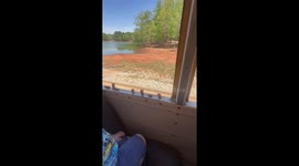 Child feeds treats to ostrich during wildlife safari in Lawrenceville, Georgia, USA
