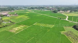 China: Smart machinery boosts agricultural production efficiency across China
