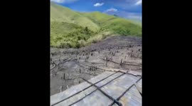 Deforestation and Illegal Poppy Cultivation Threaten Manipur’s Hills