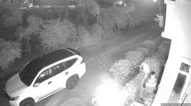Resident grapples with huge PYTHON found strangling his pet cat