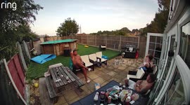 Unexpected chaos: 2-year-old boy jumps into pool without any floating aid on