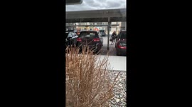 Cat Loves When His Human Comes Home