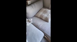Chilly Frenchie Snores Between Couch And Heater