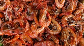 Street food: Fresh fried prawns are visitors' favorite seafood